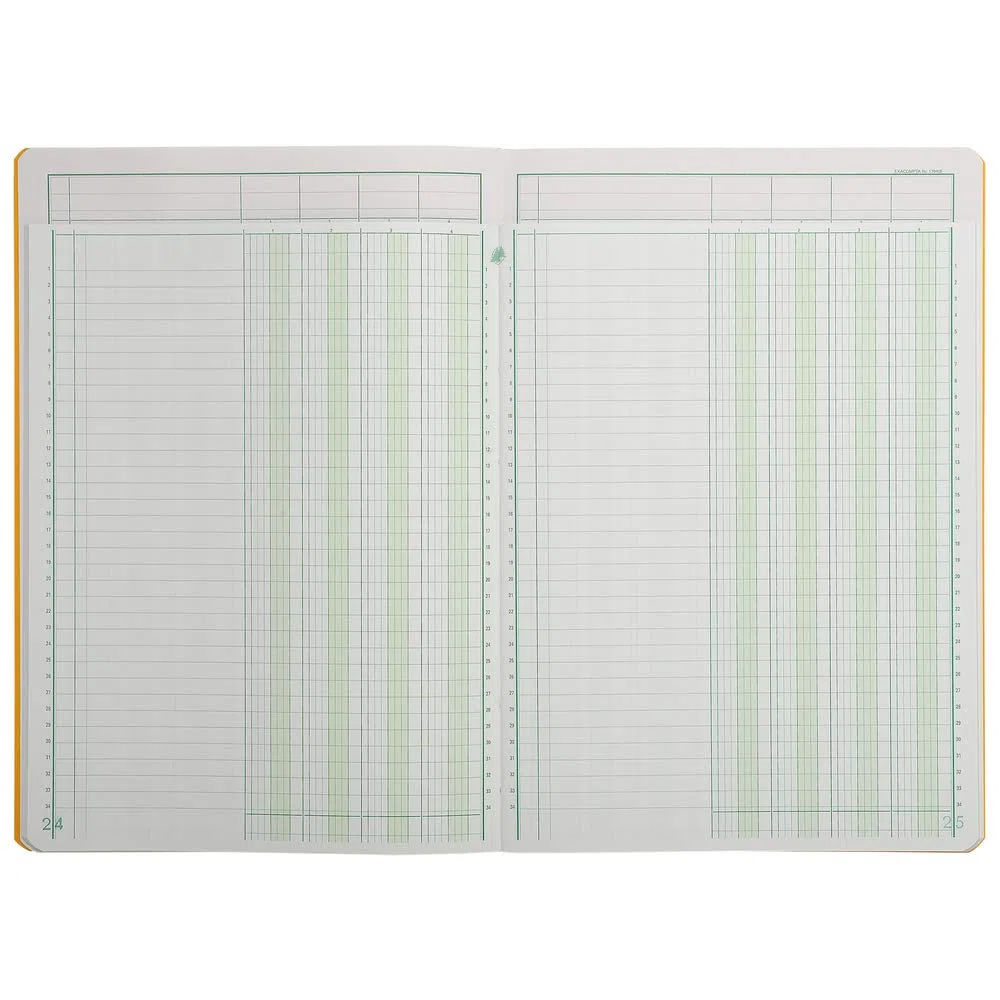 Exacompta 17040E - Libretto a più colonne rilegato con 4 colonne su 1 pagina e 34 righe, 40 fogli A4, 100 g, colori assortiti