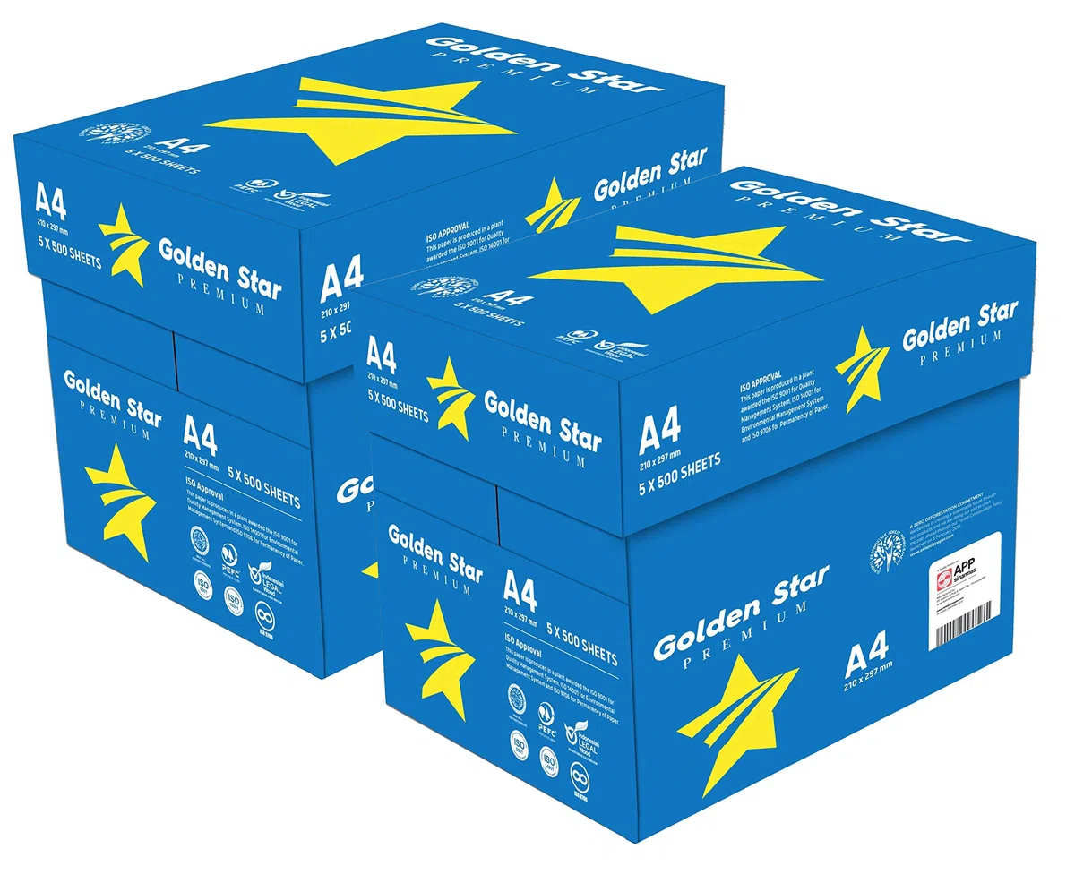 Golden Star Carta Premium per ufficio, Formato A4, 75 gr, Confezione da 10 risme da 500 Fogli
