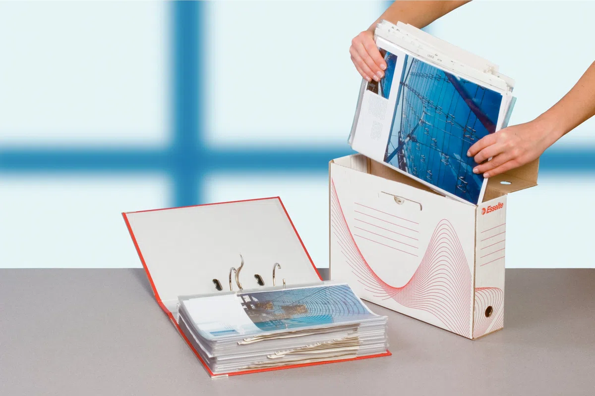 ESSELTE Boxy 100 Scatola Archivio - Dim. 25 x 35 x 10 cm - Per i Documenti F.to A4, Riciclabile al 100 %, Certificato FSC, Confezione da 10 Pezzi, Bianco - 20172