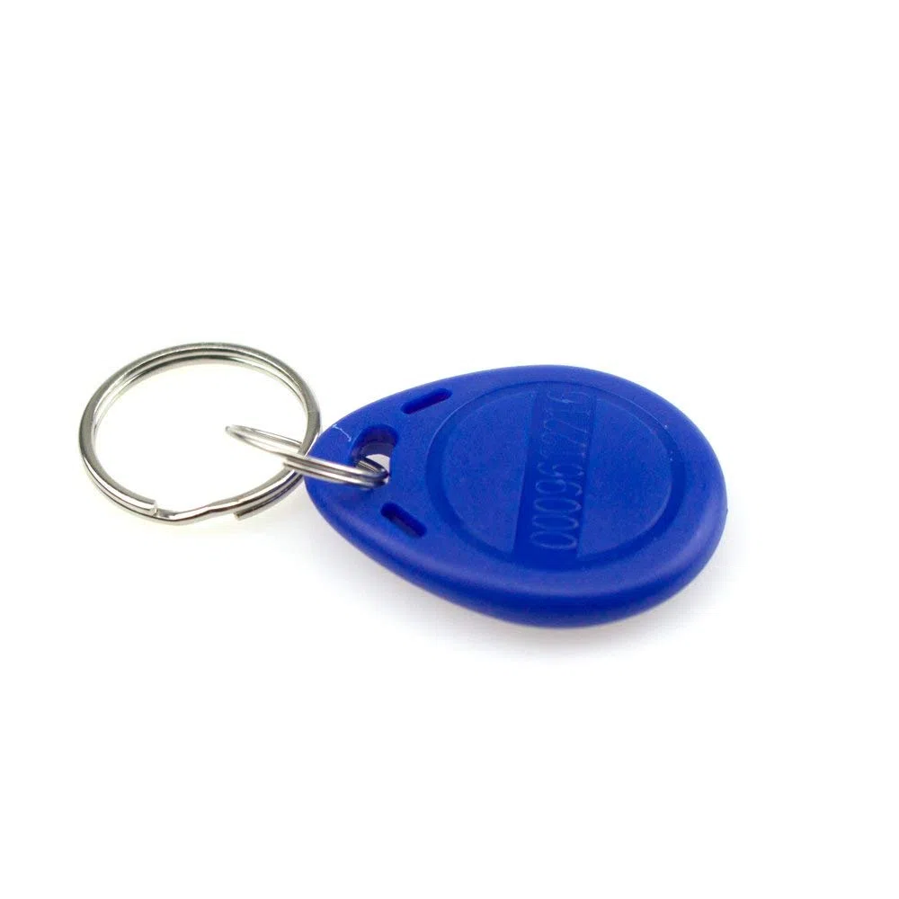 YAVIS EM4100, TK4100, targhette portachiavi con RFID da 125 KHz, in sola lettura, Controllo di Accesso Carta Chiave Prossimità Key fobs, 100 pezzi, blu