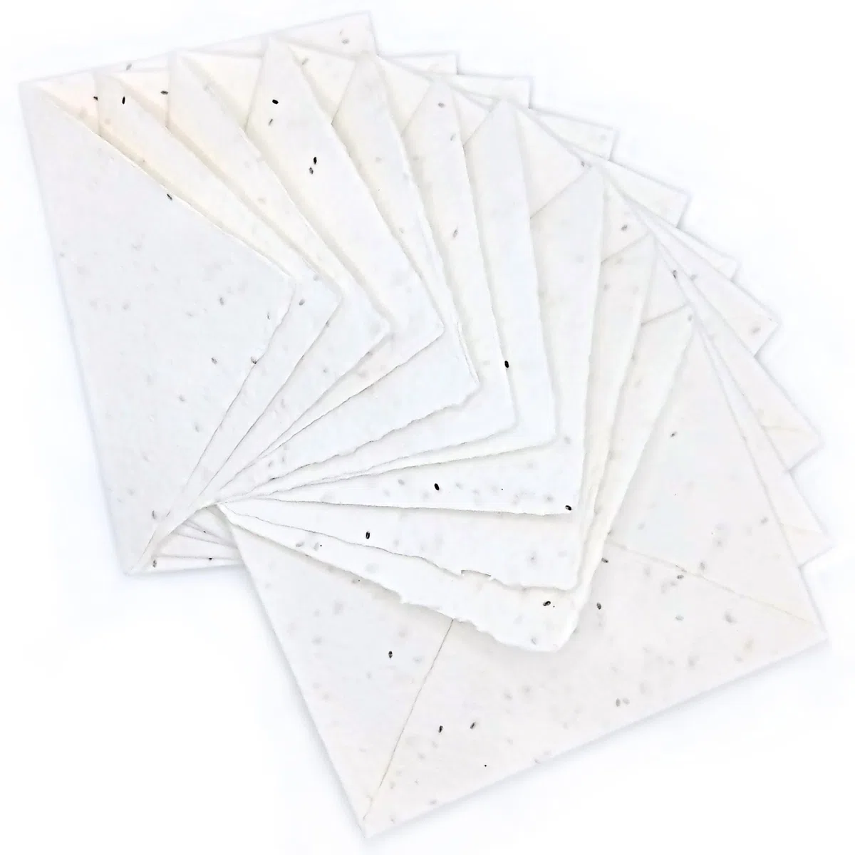 Biglietti di Auguri e Buste Piantabili per ogni occasione, come Nascita, Compleanno, Laurea, Matrimonio, 300 g/m2, Confezione da 10, Made in Italy (Con Semi di Lavanda)