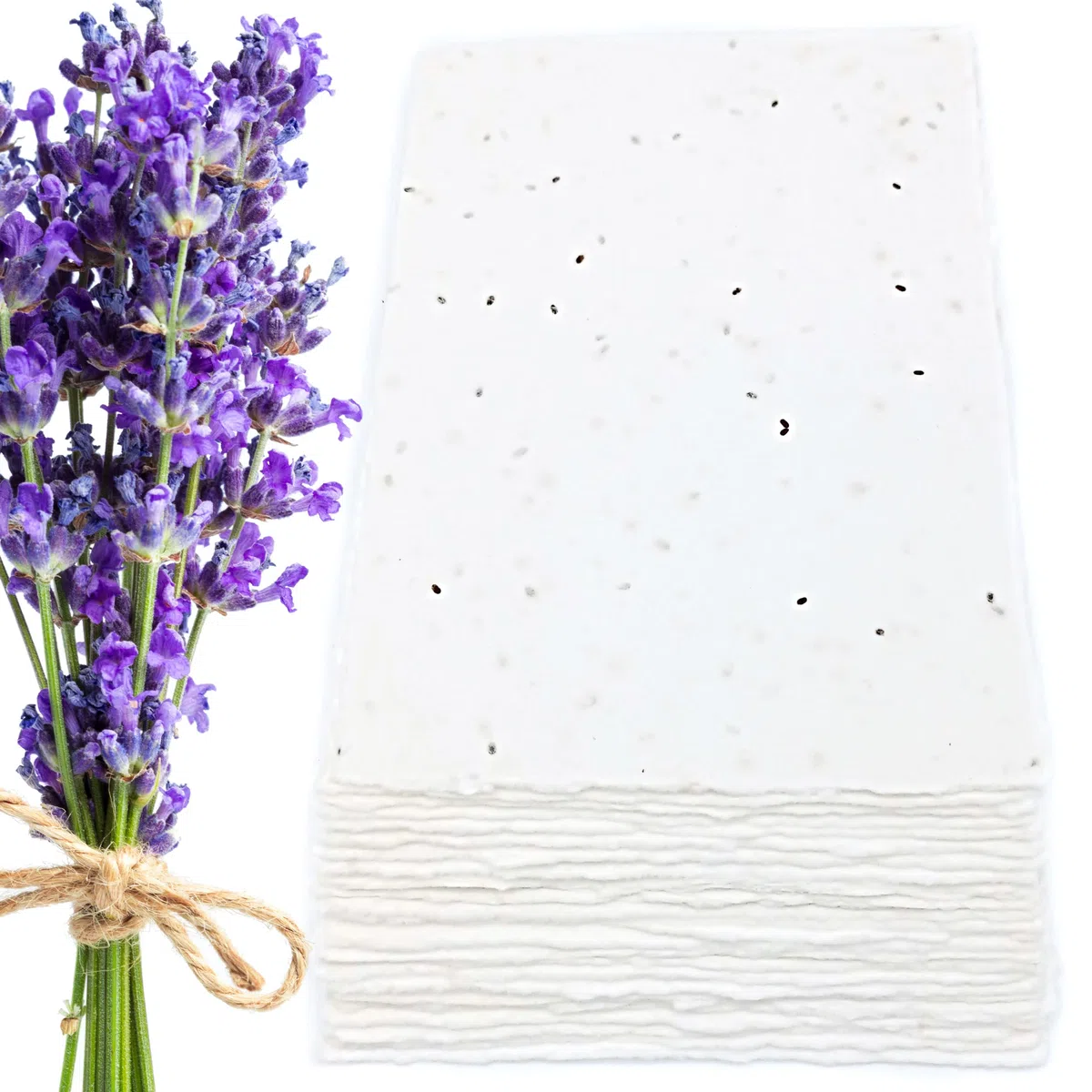 Biglietti di Auguri e Buste Piantabili per ogni occasione, come Nascita, Compleanno, Laurea, Matrimonio, 300 g/m2, Confezione da 10, Made in Italy (Con Semi di Lavanda)