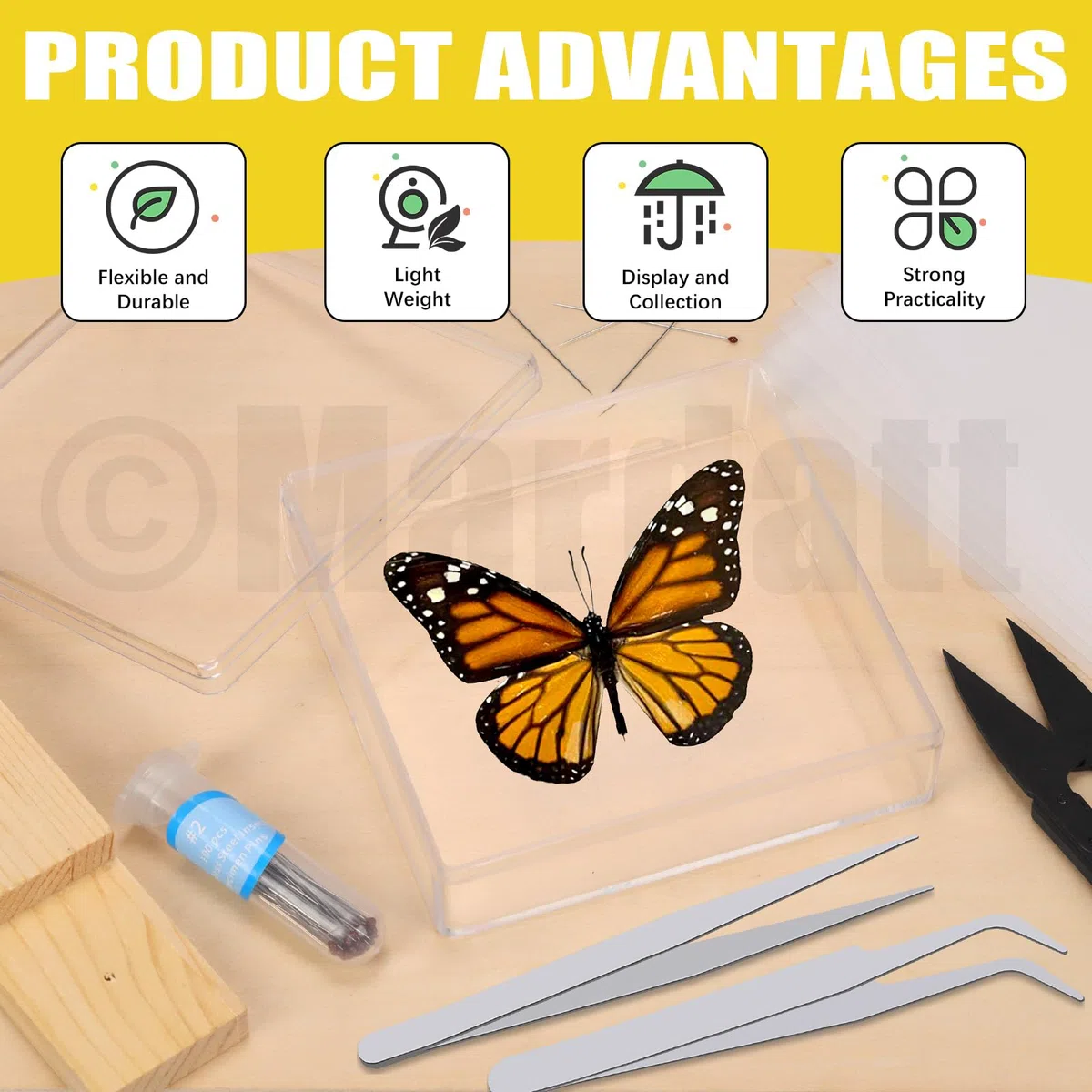 Mardatt Kit di strumenti per la realizzazione di campioni di insetti, kit per appuntare gli insetti con blocco per insetti, bacheca per insetti, spilli per insetti, carta per pressare le ali, custodia