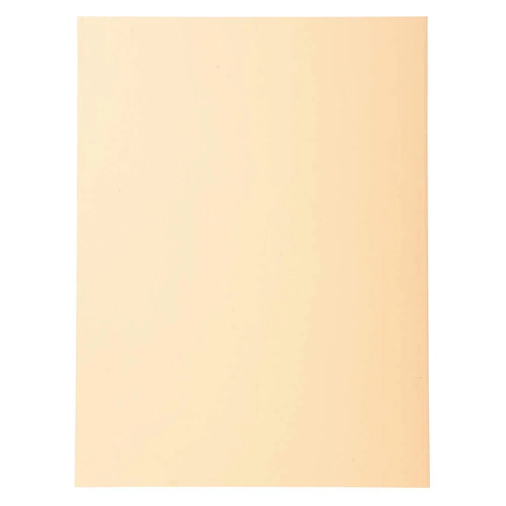 Exacompta 420002E Cartelle Semplici, 24x32 cm, Crema