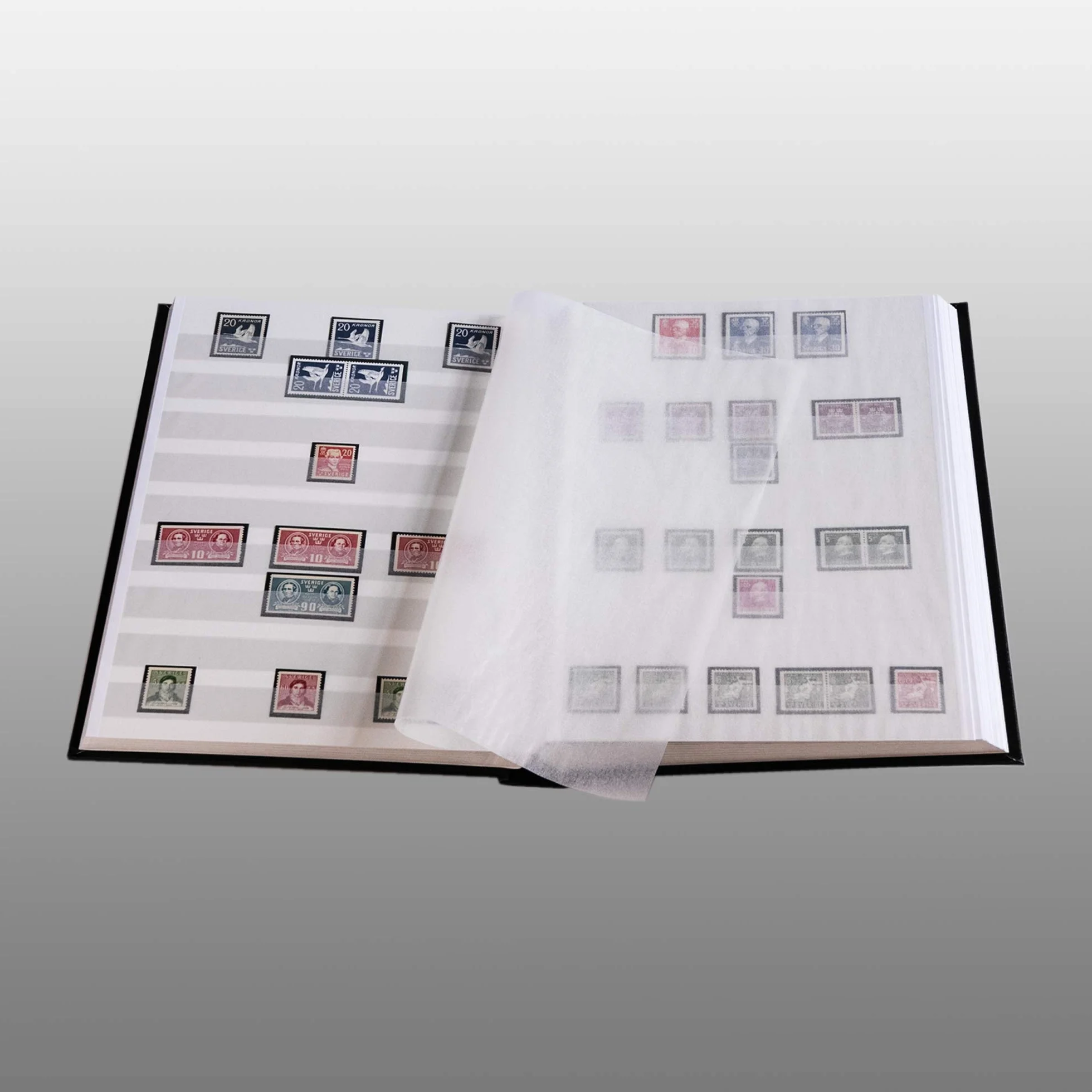 Prophila Leuchtturm classificatori 60 pagina bianco, nero colori