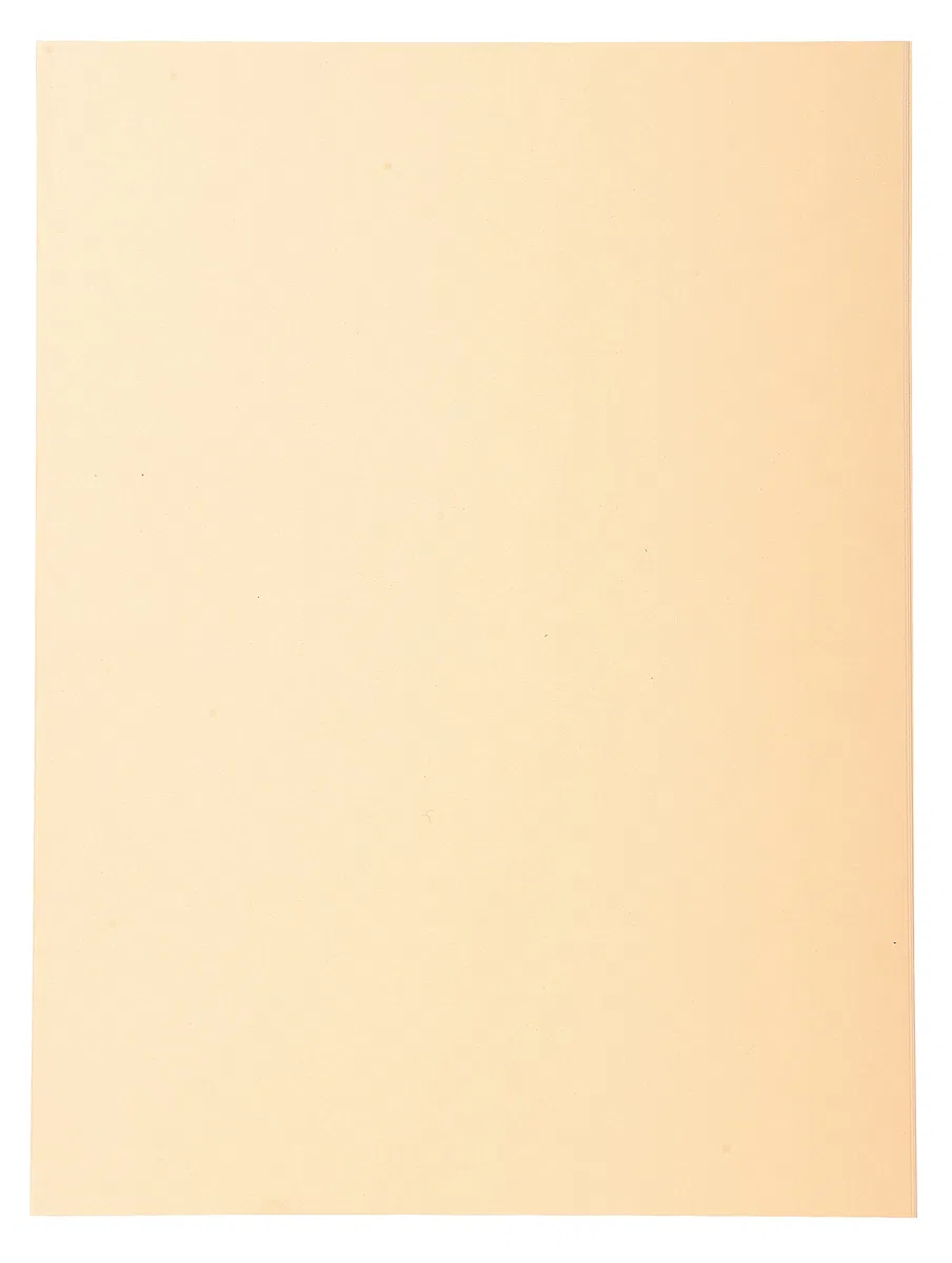 Exacompta 420002E Cartelle Semplici, 24x32 cm, Crema