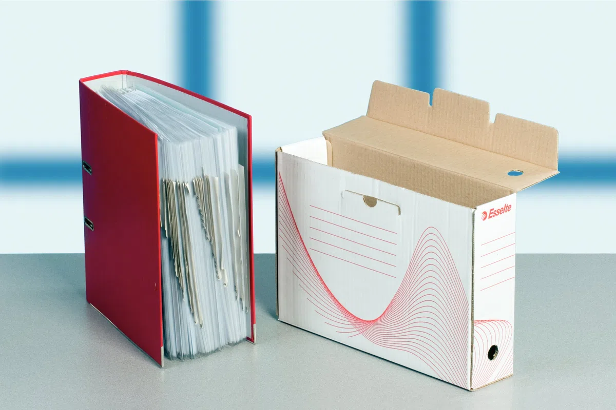 ESSELTE Boxy 100 Scatola Archivio - Dim. 25 x 35 x 10 cm - Per i Documenti F.to A4, Riciclabile al 100 %, Certificato FSC, Confezione da 10 Pezzi, Bianco - 20172