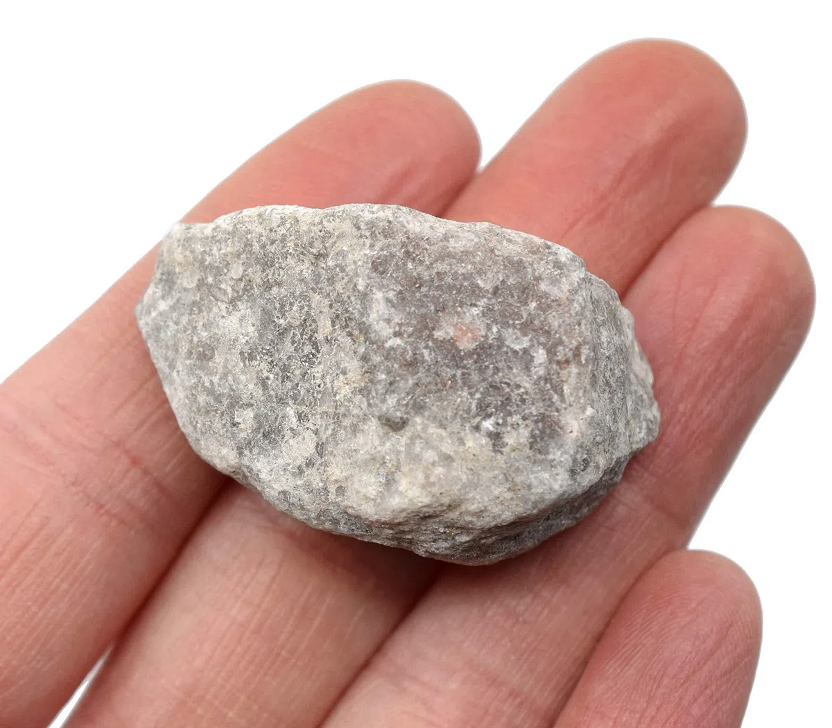 Eisco Labs - 12 esemplari di quarzite grezza, roccia metamorfica, ca. 1 cm, geologo selezionato e lavorato a mano, ideale per aule scienze