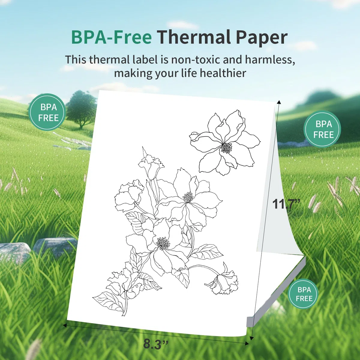Bisofice Carta Termica A4 per Stampante 200 fogli, Compatibile con Stampante Termica Portatile L81/L86/M08F/M832/M834/A40, Senza BPA, 210x297 mm