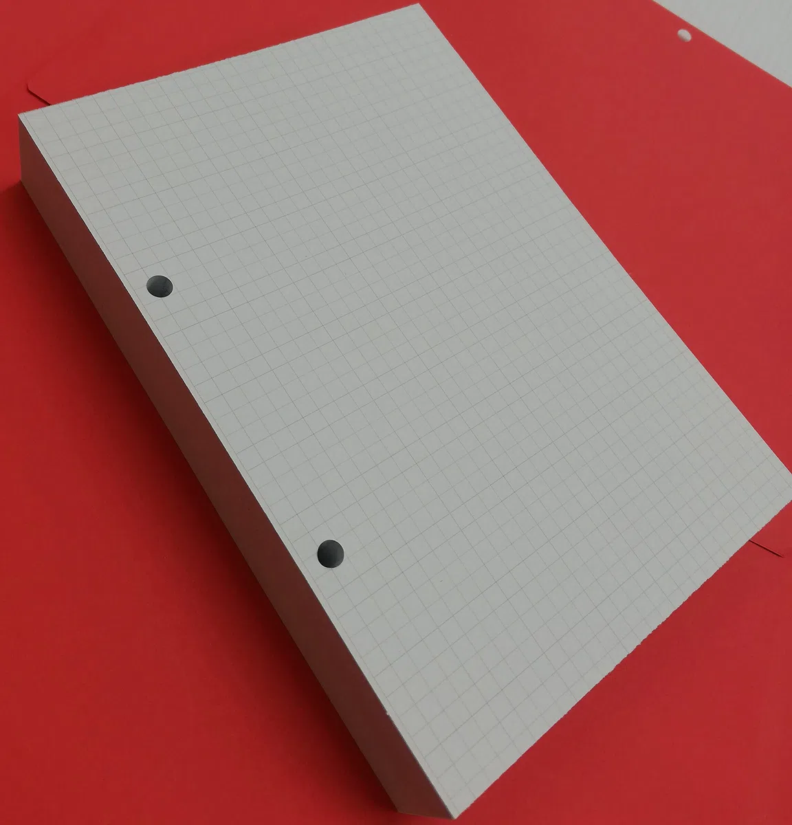 Refill Ricarica 200 Fogli (400 Pagine) - 2 Fori - A5 14,5x20,5cm. Quadretti 5 mm. - DIN A5 2-holes - per raccoglitore con 2 anelli distanti 8 cm.