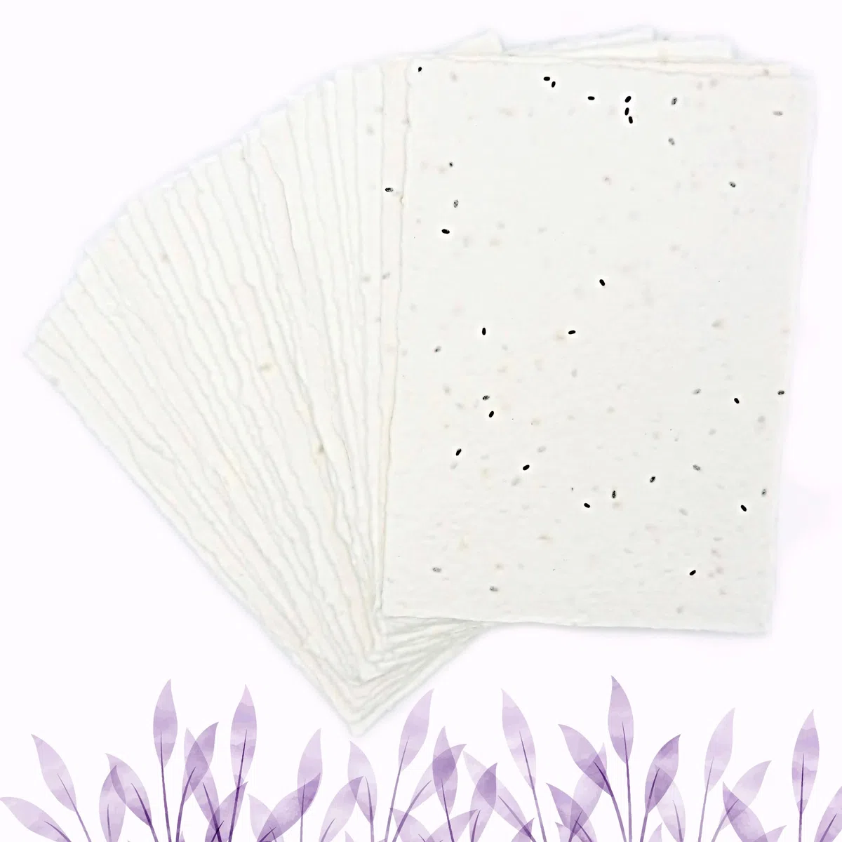 Biglietti di Auguri e Buste Piantabili per ogni occasione, come Nascita, Compleanno, Laurea, Matrimonio, 300 g/m2, Confezione da 10, Made in Italy (Con Semi di Lavanda)