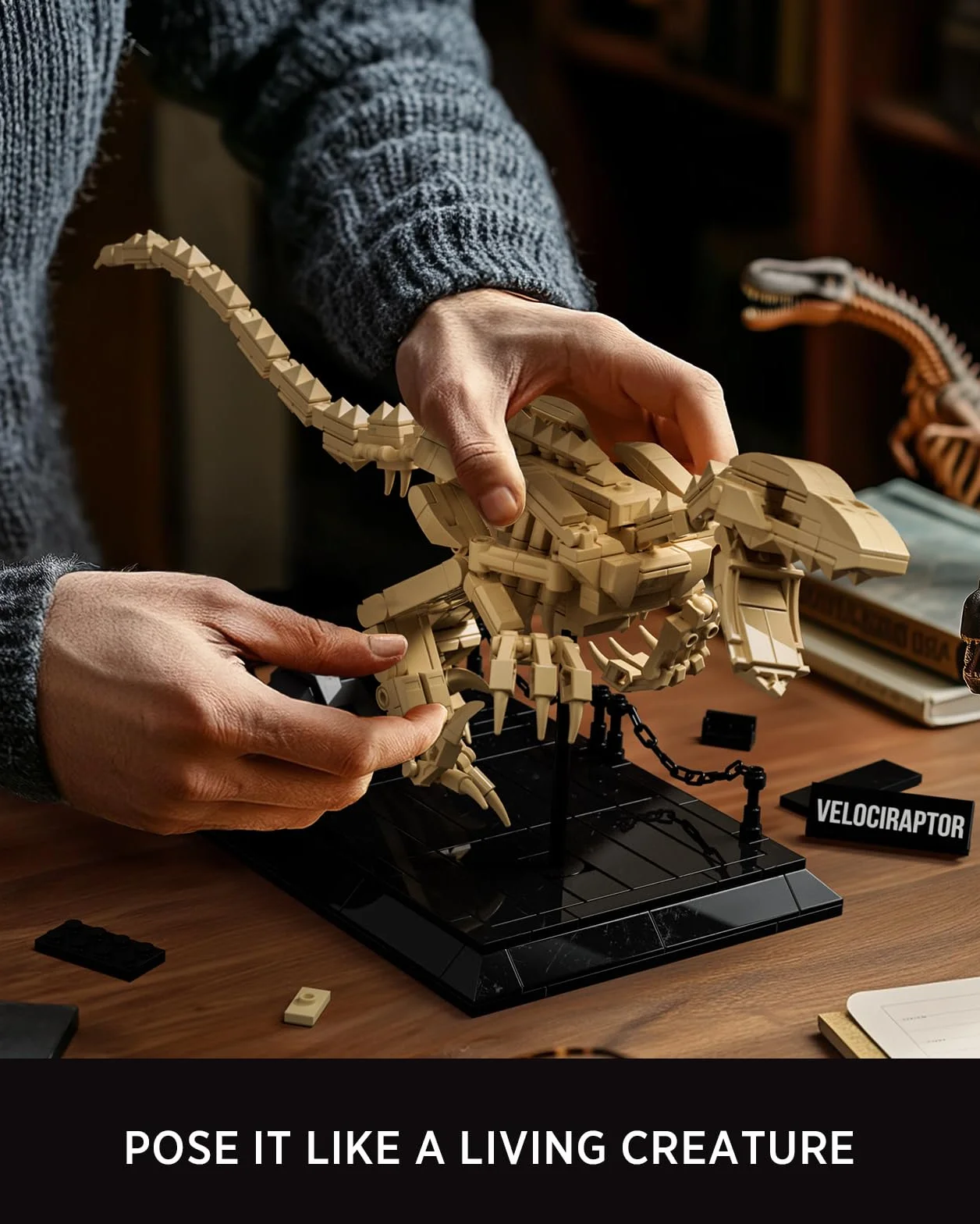Nifeliz Kit de Modello Fossile Velociraptor, Set Scheletro Dinosauro con Base Espositiva per Adulti, Regalo da Collezione per Appassionati di Dinosauri (498 Pezzi, NF10357)
