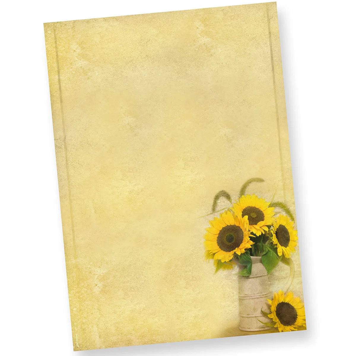 TATMOTIVE 74 – 0025 girasoli A4 25 Set carta da lettere con buste