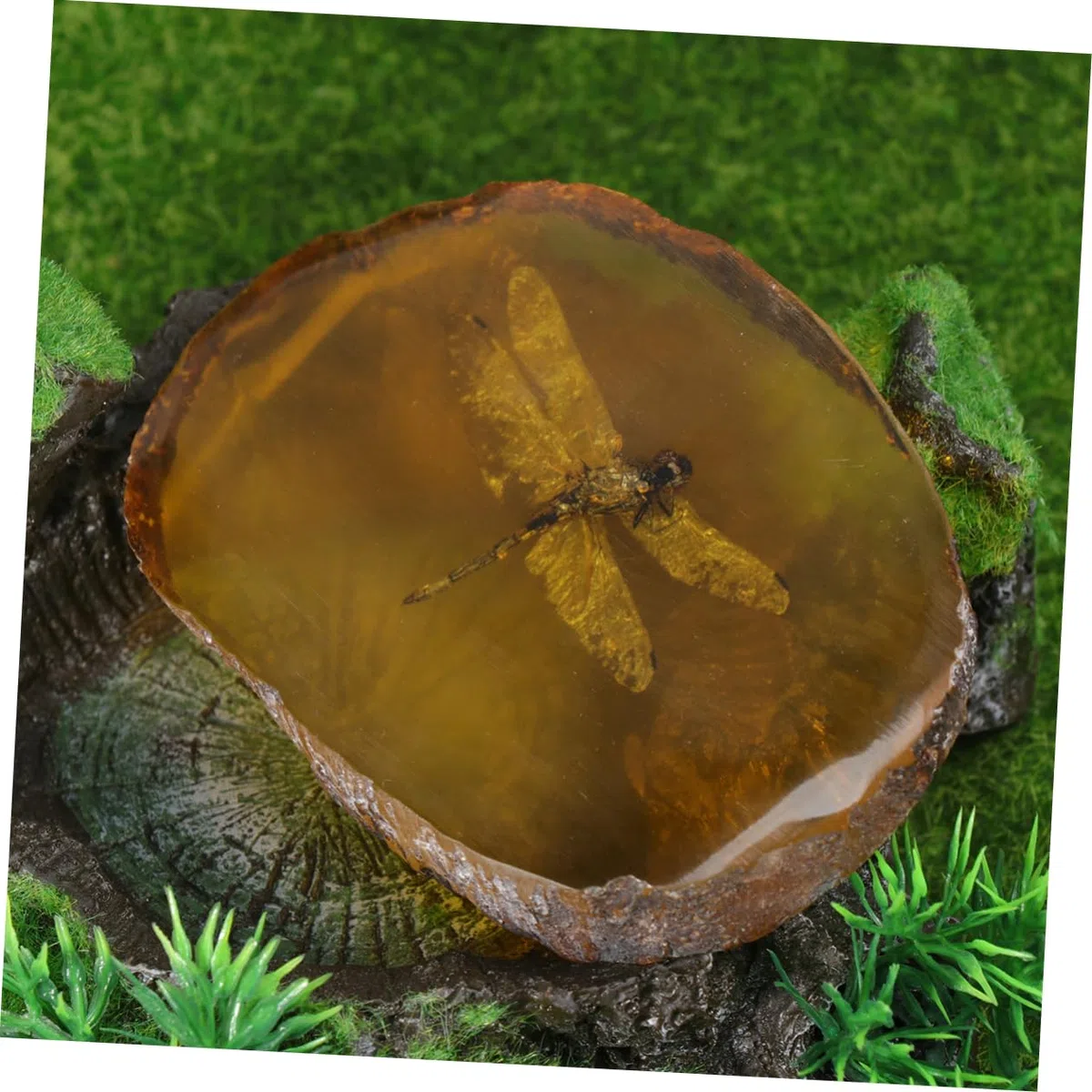GLEAVI 1 Pc Ciondolo fossile di Pietra di Pendente Esemplare di Ambra di Pietre fossile di di Ornamento in Pietra ambrata nellambra Domestico Accessori Geco Esemplare di Farfalla Campione