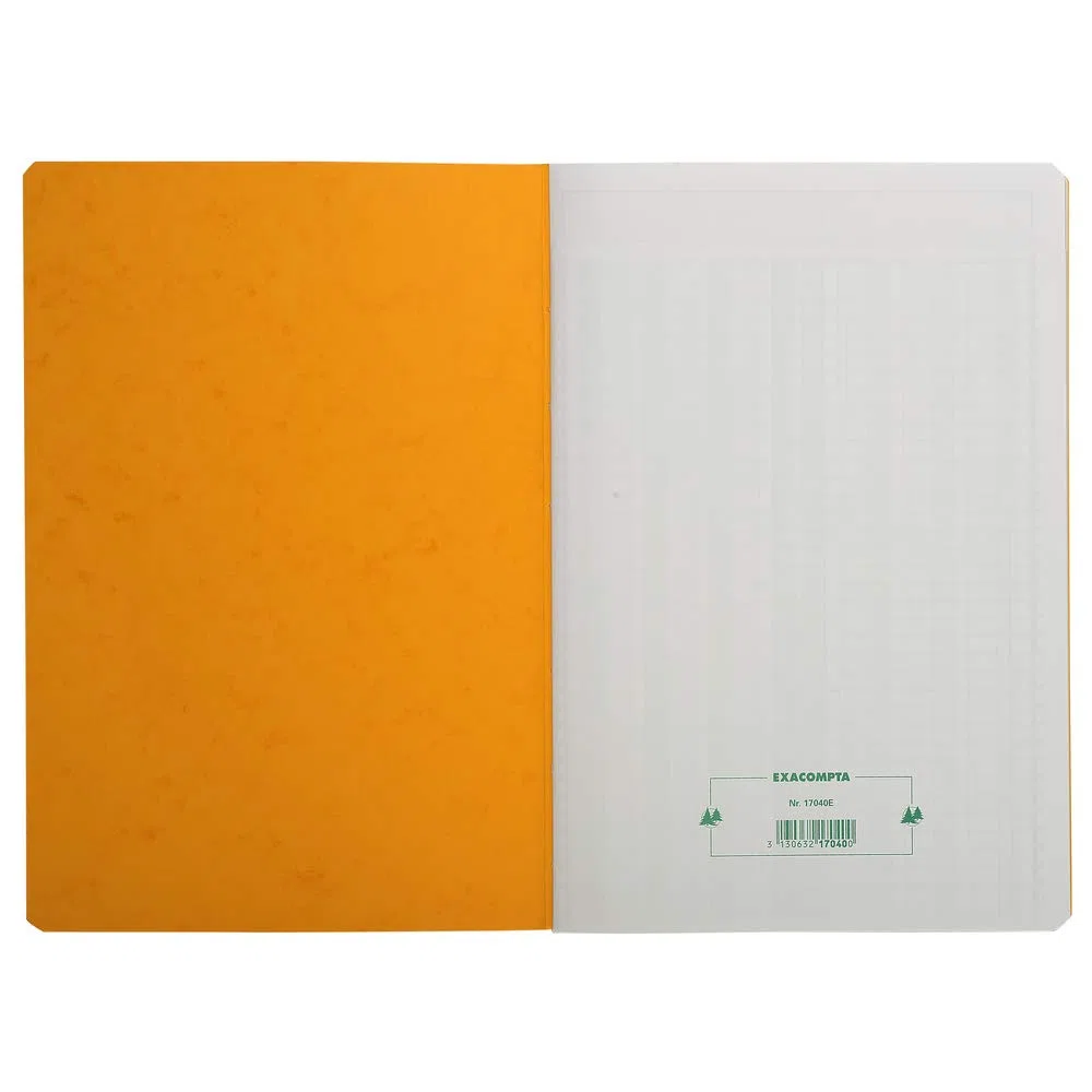 Exacompta 17040E - Libretto a più colonne rilegato con 4 colonne su 1 pagina e 34 righe, 40 fogli A4, 100 g, colori assortiti