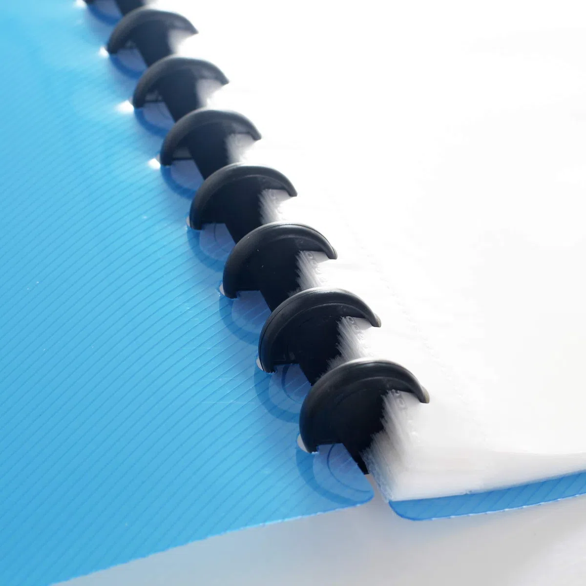 TUKA-i-AKUT 4pz A4 PP Portalistino con Rilegatura Anelli, Buste Trasparenti, Per Presentazione e Archiviazione di Documenti, Libro di Presentazione a Spirale, Set di 4 in 4 colori, TKD8029 bunt