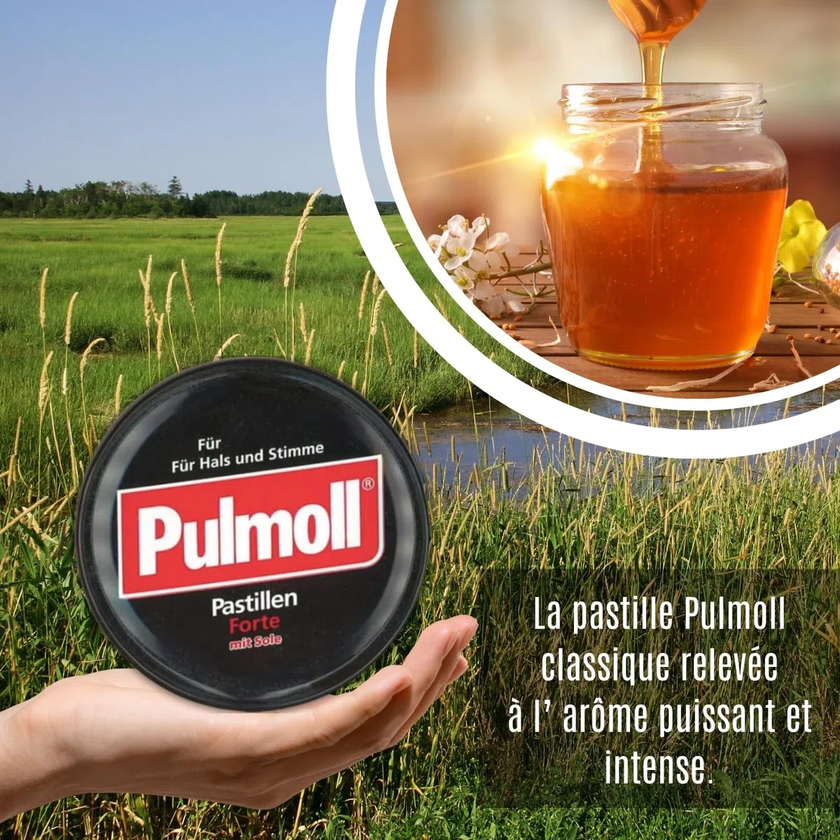 Contenitore Pulmoll x10 | Formato economico | Dal 1946 (Forte)