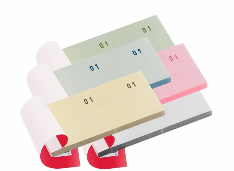 GICA - 50 BLOCCHI NUMERATI DA 1-100 IN CONFEZIONE DA 5 COLORI ASSORTITI, BLOCCHETTI PER SORTEGGI, SAGRE, LOTTERIE, ECC.