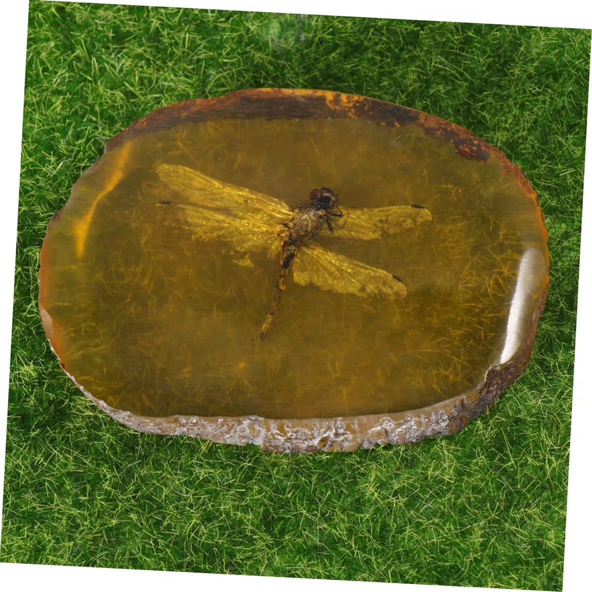GLEAVI 1 Pc Ciondolo fossile di Pietra di Pendente Esemplare di Ambra di Pietre fossile di di Ornamento in Pietra ambrata nellambra Domestico Accessori Geco Esemplare di Farfalla Campione
