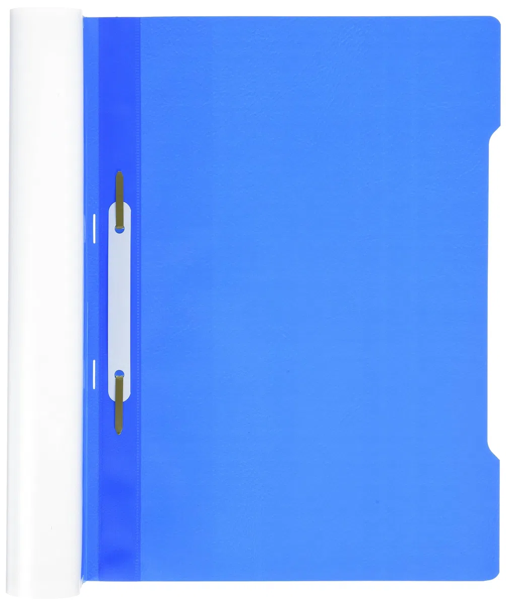 Durable 257306 Cartellina ad Aghi Clear View, Formato A4, Fronte Trasparente e Retro Colorato, Etichetta Longitudinale, Azzurro, Confezione da 50 Pezzi