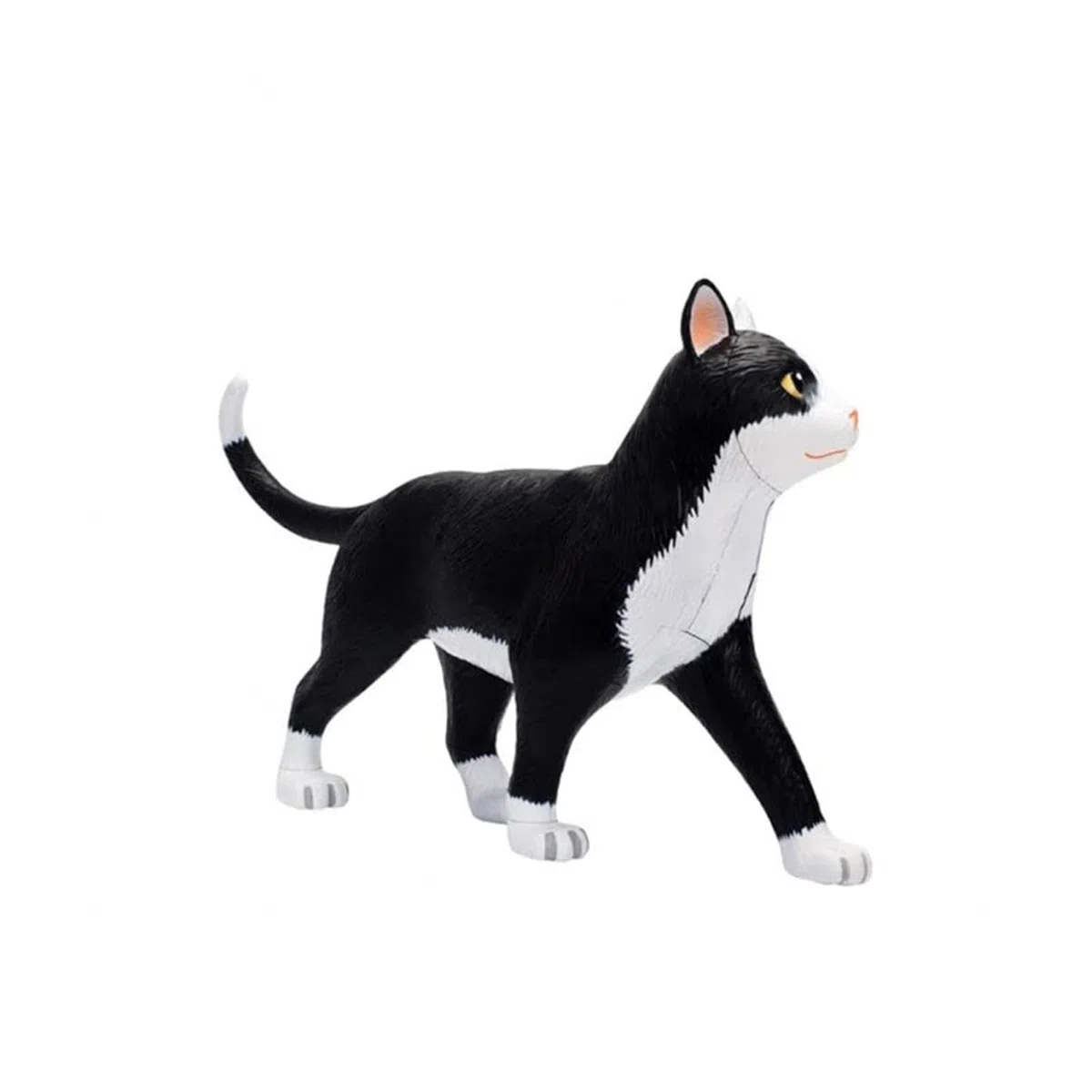 Generico Modello di Anatomia del Gatto con Visione 4D, 28 Parti per dimostrazione didattica Animale Modello di Anatomia del Gatto, Strumento di Formazione veterinaria per dimostrazione