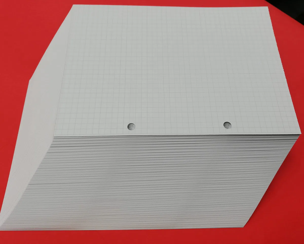 Refill Ricarica 200 Fogli (400 Pagine) - 2 Fori - A5 14,5x20,5cm. Quadretti 5 mm. - DIN A5 2-holes - per raccoglitore con 2 anelli distanti 8 cm.