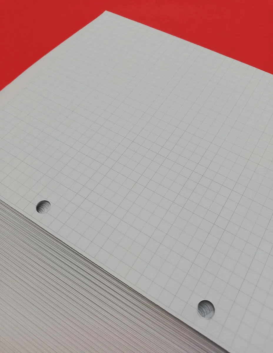 Refill Ricarica 200 Fogli (400 Pagine) - 2 Fori - A5 14,5x20,5cm. Quadretti 5 mm. - DIN A5 2-holes - per raccoglitore con 2 anelli distanti 8 cm.