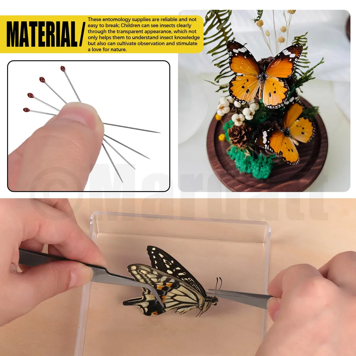 Mardatt Kit di strumenti per la realizzazione di campioni di insetti, kit per appuntare gli insetti con blocco per insetti, bacheca per insetti, spilli per insetti, carta per pressare le ali, custodia