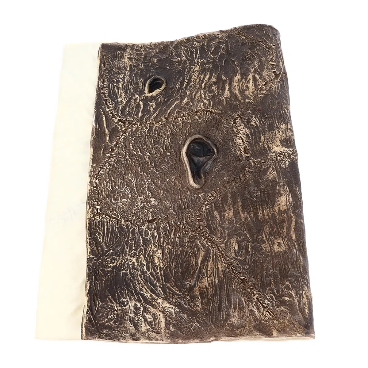 Copertura del libro di Evil Dead Cover dipinto a mano resistente alla lacrime Necronomicon Decorazione di copertina