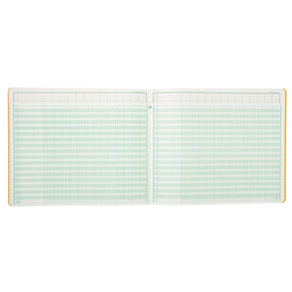 Exacompta 16130E - Registro contabile, lingua francese, 13 colonne, 80 pagine, 27 x 32 cm