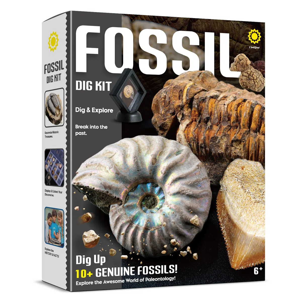 Byncceh Kit Scavo Fossili Bambini con 12 Fossili Veri – Gioco Scientifico STEM Educativo con Martello & Scalpello – Set Paleontologia Bambini 6-12 Anni – Regalo Didattico Senza Schermo