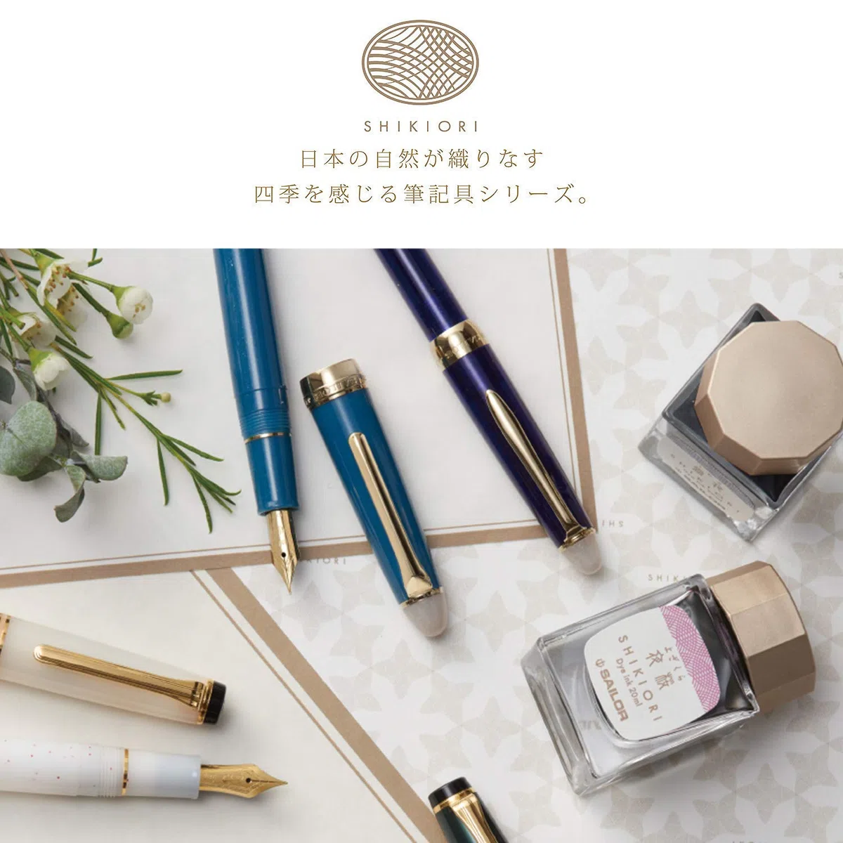 Sailor Fountain Pen Procolor 500 Shikisai - Four seasons Fine Hoshikuzu (Stardust) 11-0500-249 (Japan Import)