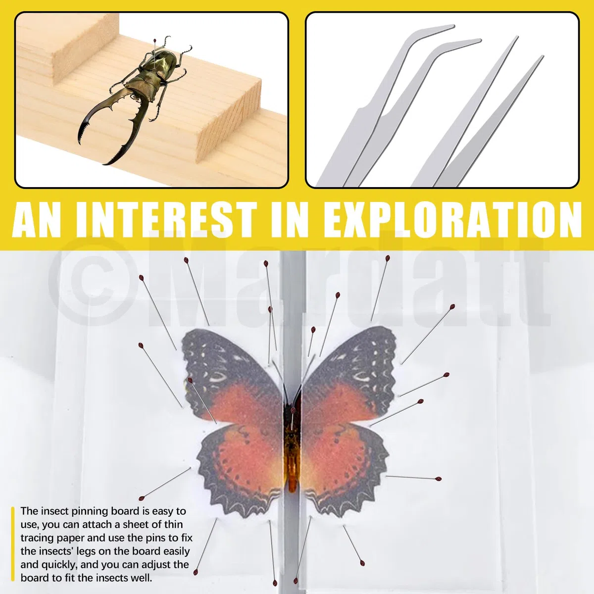 Mardatt Kit di strumenti per la realizzazione di campioni di insetti, kit per appuntare gli insetti con blocco per insetti, bacheca per insetti, spilli per insetti, carta per pressare le ali, custodia