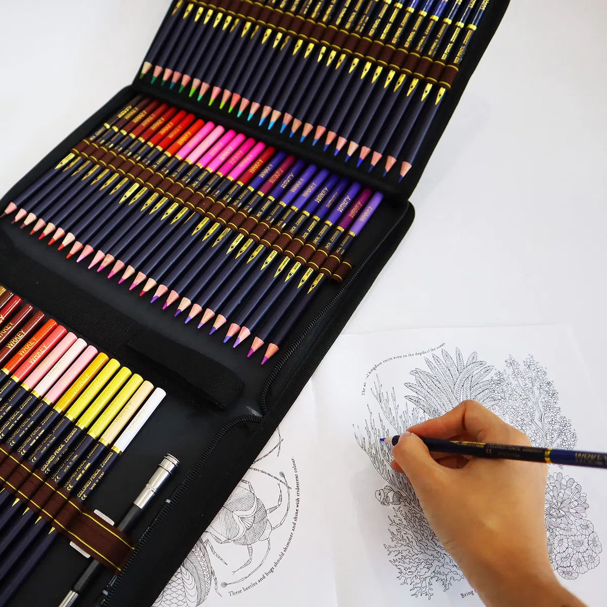 Matite Colorate Professionali, Set di 72 Matite Colorate, Colori a Pastello, Pastelli Professionali da Disegno, per Principianti, Adulti, Ottimo per la Pittura Creativa