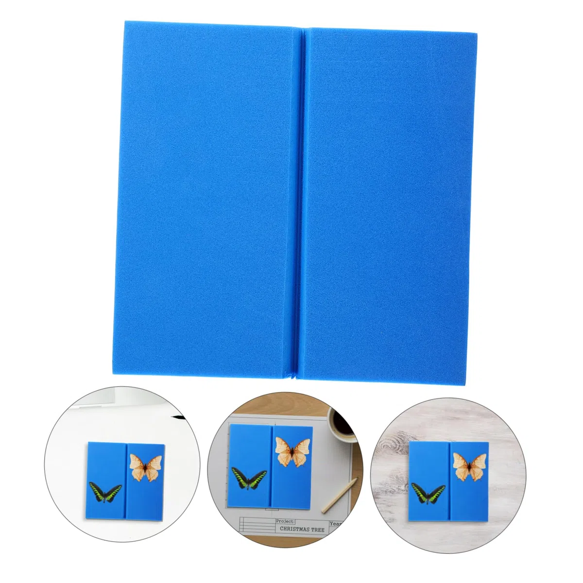 iplusmile 3pezzi Per Insetti Per Esposizione Per Per Pinning Insetti Kit Per Collezionisti Specimen