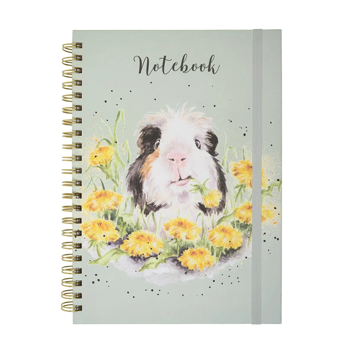 Wrendale Designs by Hannah Dale - Quaderno formato A4 con porcellino d'India