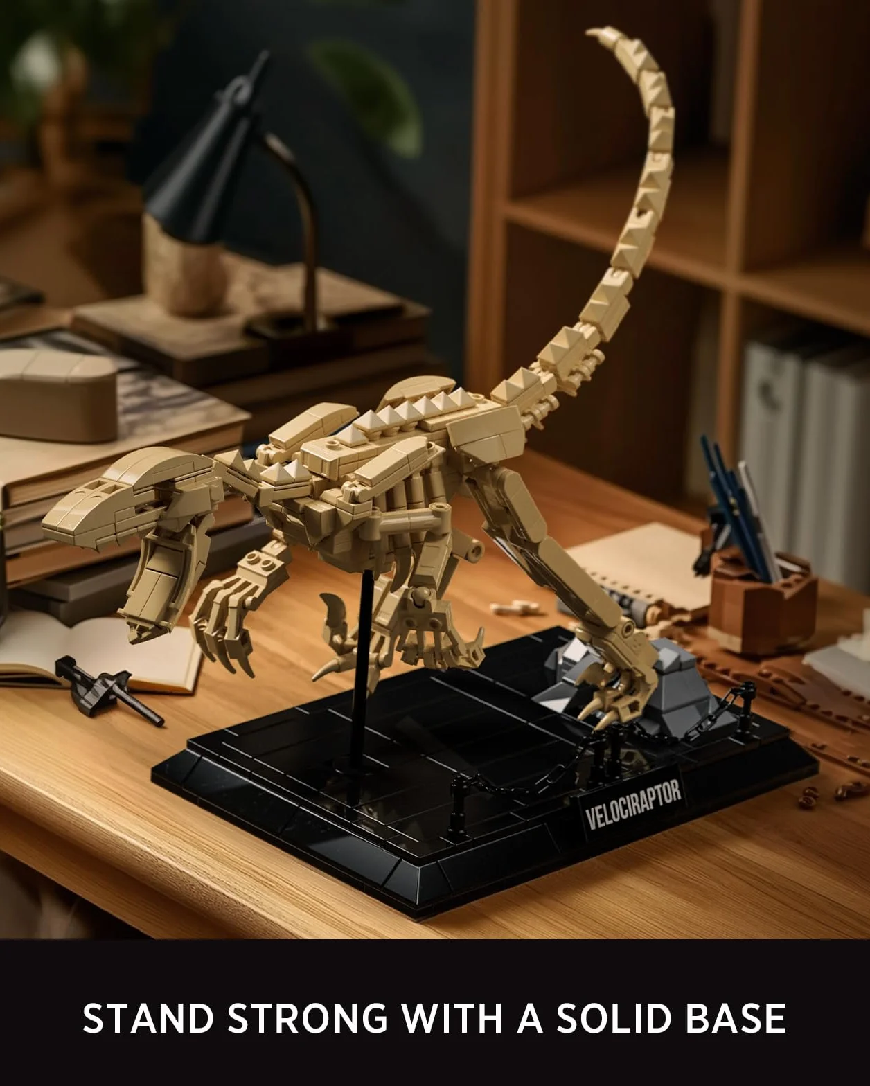 Nifeliz Kit de Modello Fossile Velociraptor, Set Scheletro Dinosauro con Base Espositiva per Adulti, Regalo da Collezione per Appassionati di Dinosauri (498 Pezzi, NF10357)