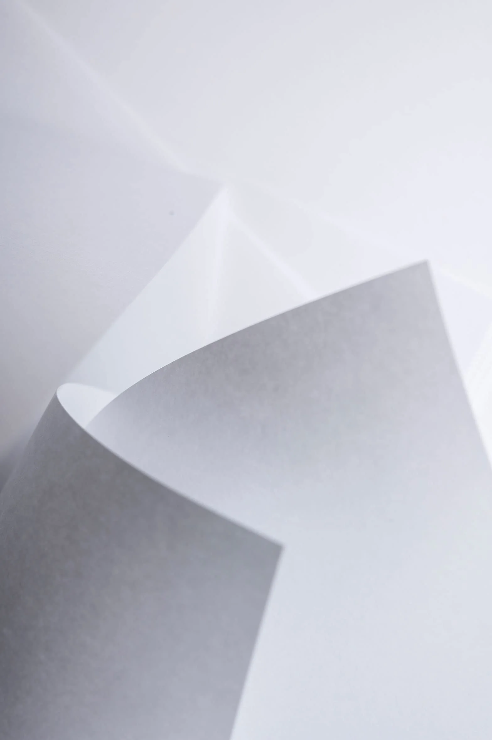 Favini A680313 Rismaluce colore BIANCO Risma di carta da 100gr 300 fogli Formato A3 (29,7x42cm) Made in Italy