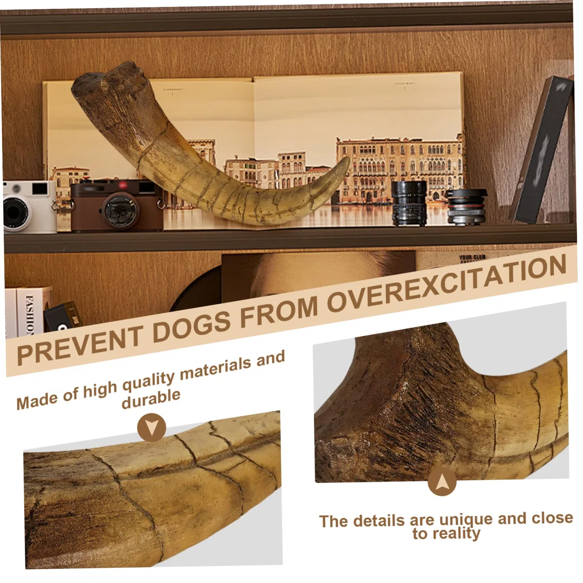 Artigli di dinosauro Artigli fossilizzati realistici Decorazione della stanza di dinosauro Regali in resina robusti e squisiti per adulti Bambini o qualsiasi appassionato, Decorazione della camera