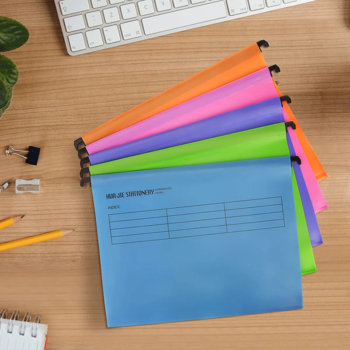 20 pezzi A4 File Sospesi in Formato con Linguette e Inserti per Schede per Ufficio Organizzazione a Casa