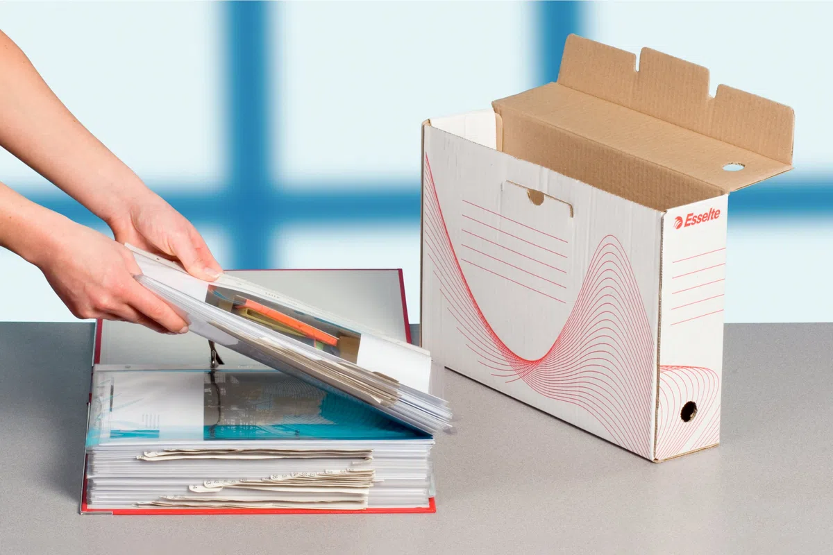 ESSELTE Boxy 100 Scatola Archivio - Dim. 25 x 35 x 10 cm - Per i Documenti F.to A4, Riciclabile al 100 %, Certificato FSC, Confezione da 10 Pezzi, Bianco - 20172