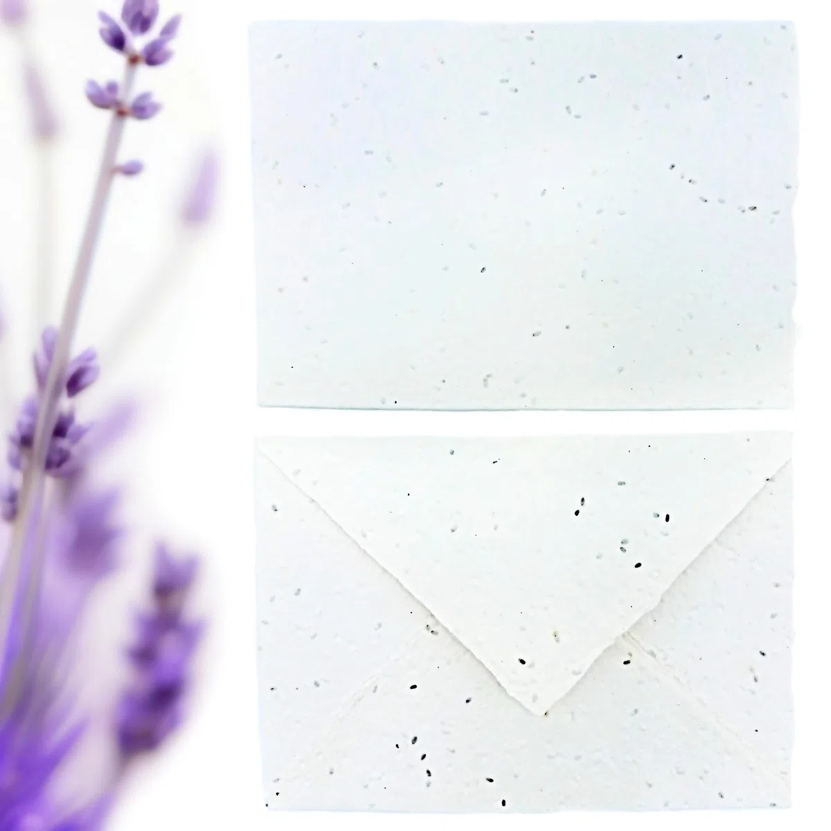 Biglietti di Auguri e Buste Piantabili per ogni occasione, come Nascita, Compleanno, Laurea, Matrimonio, 300 g/m2, Confezione da 10, Made in Italy (Con Semi di Lavanda)